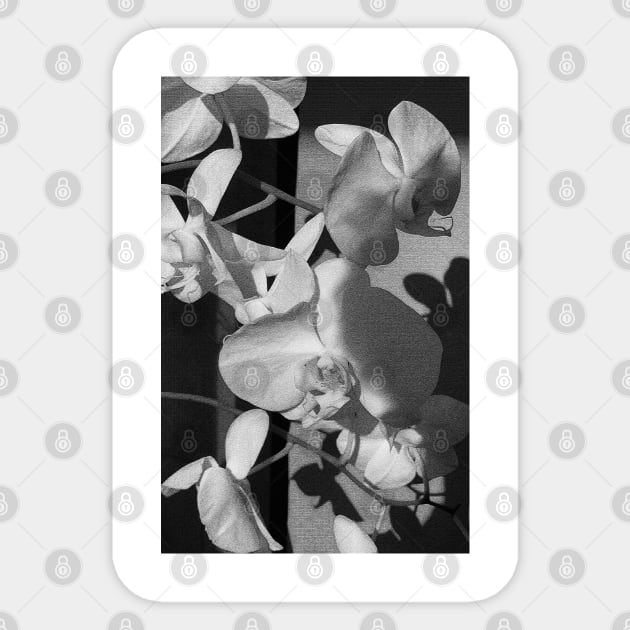 Orchids Sticker by BeauLab